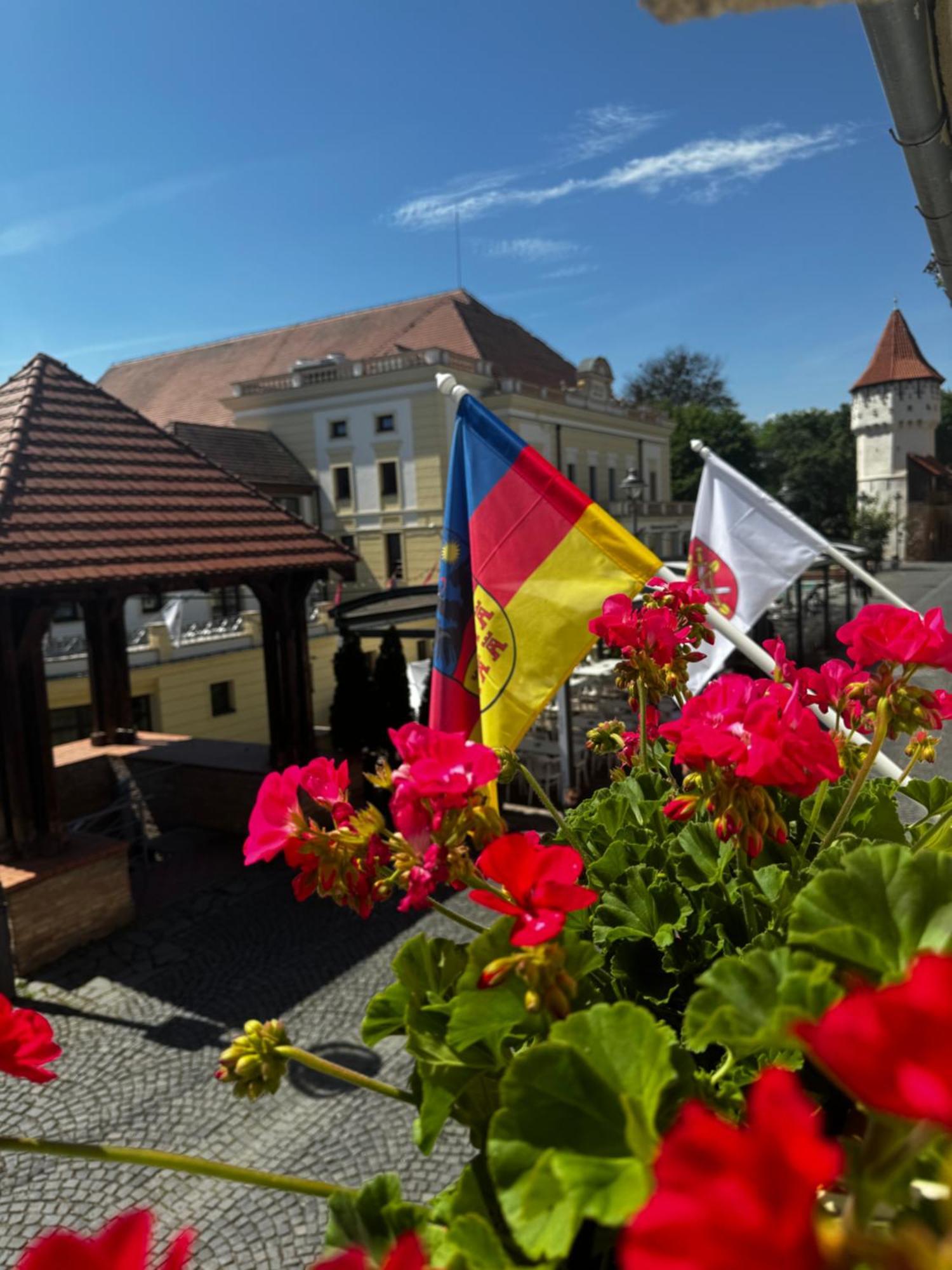 Harteneck Apartments Sibiu Dış mekan fotoğraf